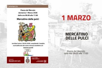 Mercatino delle pulci