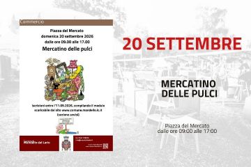 Mercatino delle pulci